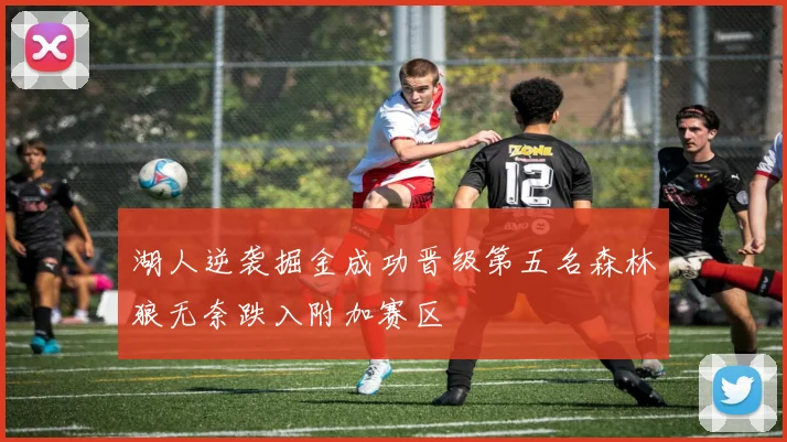 湖人逆袭掘金成功晋级第五名森林狼无奈跌入附加赛区