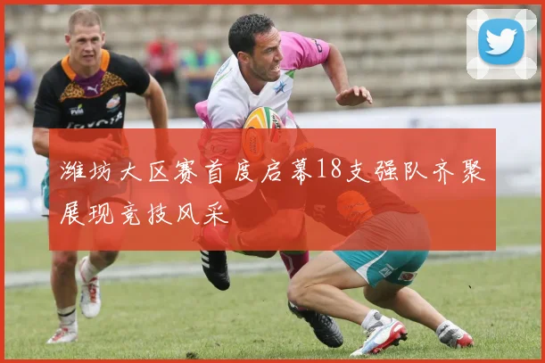潍坊大区赛首度启幕18支强队齐聚展现竞技风采