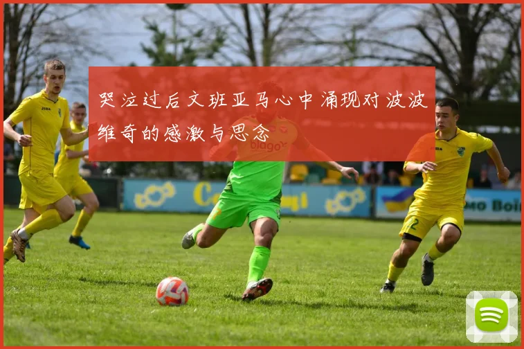 哭泣过后文班亚马心中涌现对波波维奇的感激与思念